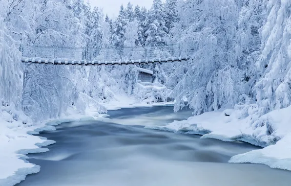 Картинка зима, снег, деревья, пейзаж, природа, река, мостик, леса