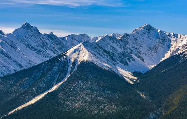 Banff National Park, Alberta, forest, sky, trees, landscape, nature, winter