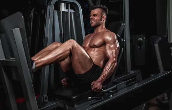 Поза, muscle, мышцы, тренировка, атлет, тренажеры, бодибилдер, training
