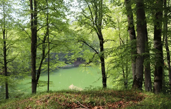 Азербайджан, Исмаилинский район, Озеро Гаранохур