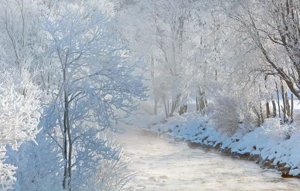 Картинка зима, снег, река, Австрия, деревь, Зальцах