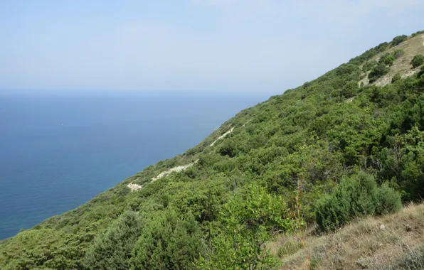 Море, склон, Чёрное море, Краснодарский край, Meduzanol ©, лето 2018, посёлок Сукко
