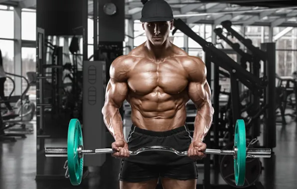 Muscles, fitness, bodybuilder