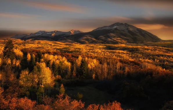 Картинка осень, горы, природа, лес.деревья