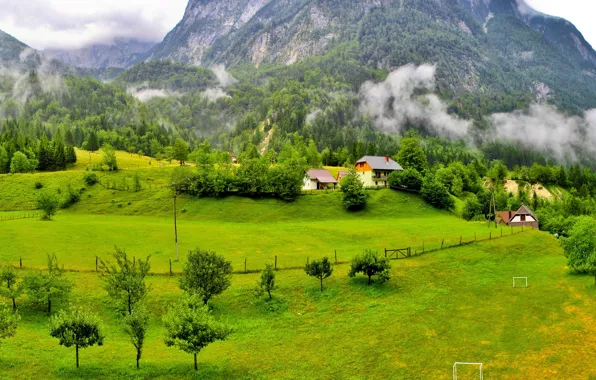 Лес, трава, облака, деревья, горы, дома, Словения, Slovenia
