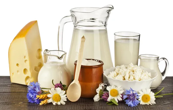 Картинка цветы, сыр, молоко, творог, сметана, молочные продукты