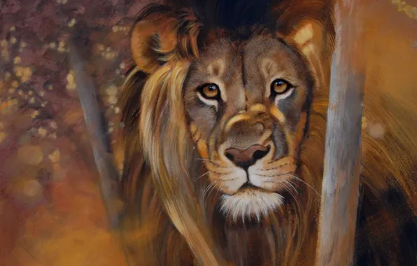 Картинка eyes, lion, look, pollyanna pickering paintings