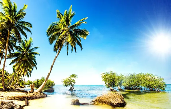 Песок, море, пляж, тропики, пальмы, берег, summer, sunshine