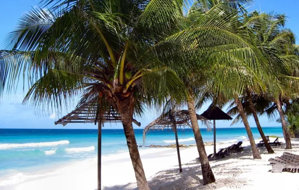 Песок, пляж, небо, пальмы, берег, Барбадос