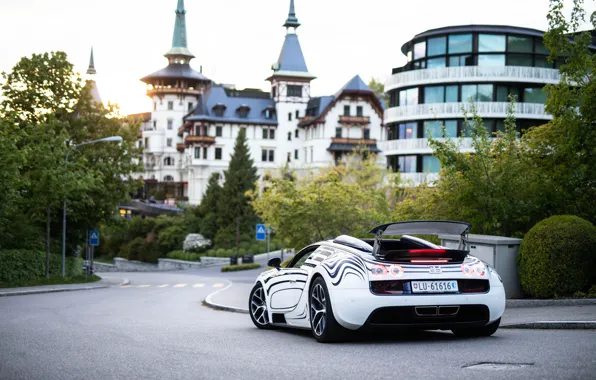 Roadster, Bugatti, Veyron, суперкар, гиперкар, Grand Sport, Vitesse