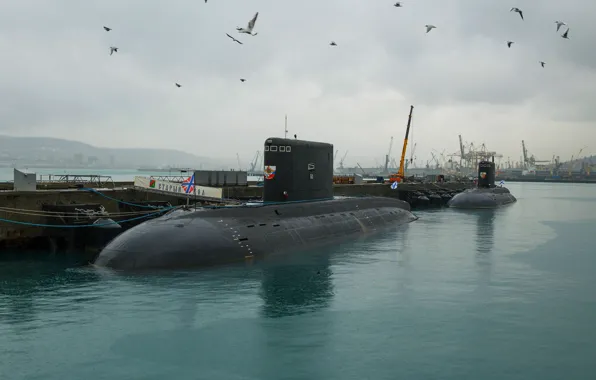 Море, черное, вмф, новороссийск, субмарины, проект 636.3