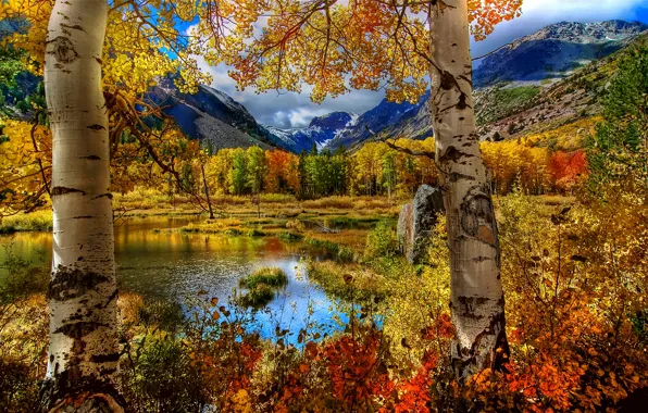 Картинка осень, небо, трава, листья, пейзаж, горы, природа, озеро