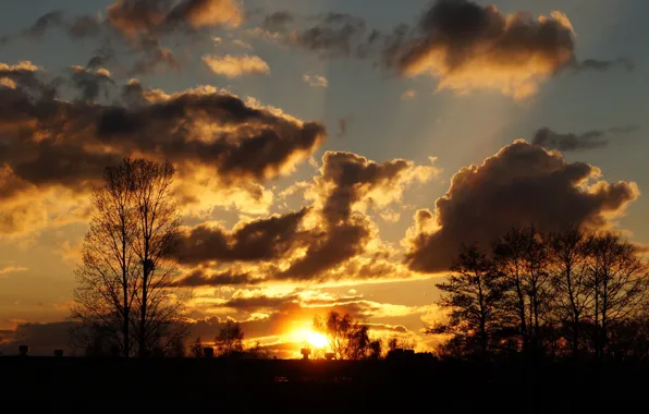 Sky, sunset, cloud