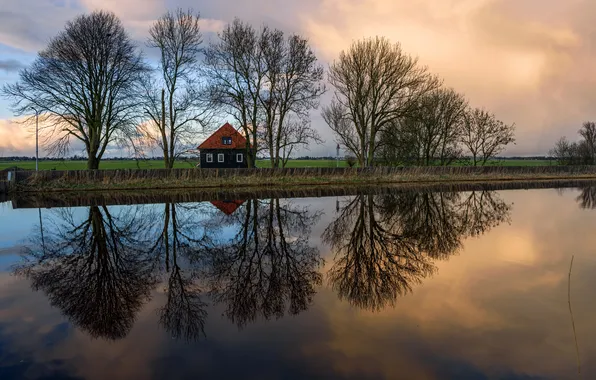 Поле, деревья, дом, отражение, река, вечер, Нидерланды, Oudendijk