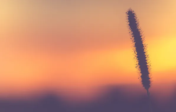 Sunset, sundown, sunrise, color, bokeh