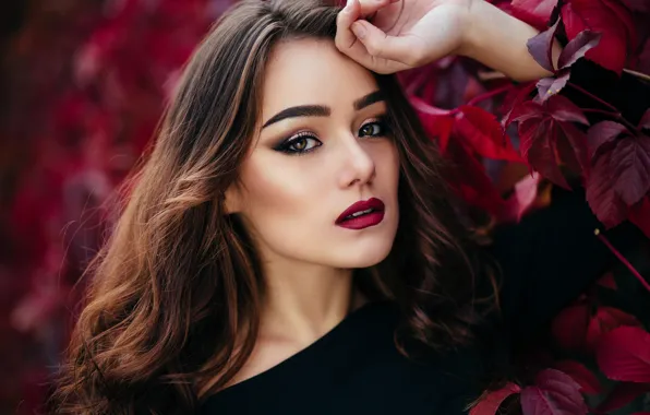 Картинка взгляд, девушка, лицо, макияж, girl, beautiful