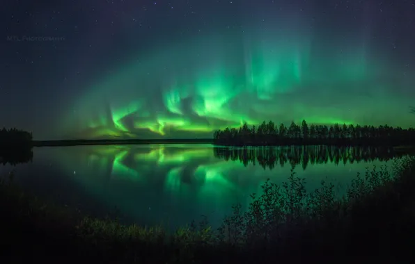Лето, небо, звезды, ночь, природа, озеро, северное сияние