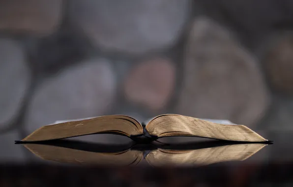 Christian, God, Book, Bible, Jesus, Aaron Burden, Holy Bible