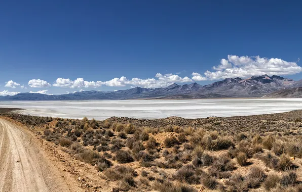 Картинка дорога, пейзаж, Peru, Laguna de Salinas