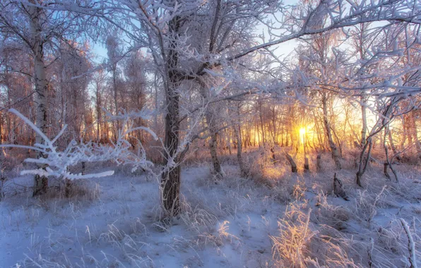 Картинка зима, пейзаж, закат, природа, пейзажи, погода, Орск, Оренбуржье