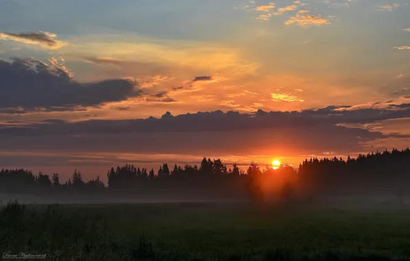 Пейзаж, природа, рассвет, утро