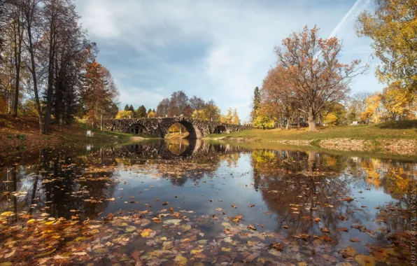 Картинка осень, небо, листья, деревья, мост, природа, пейзпж, Антон Ростовский