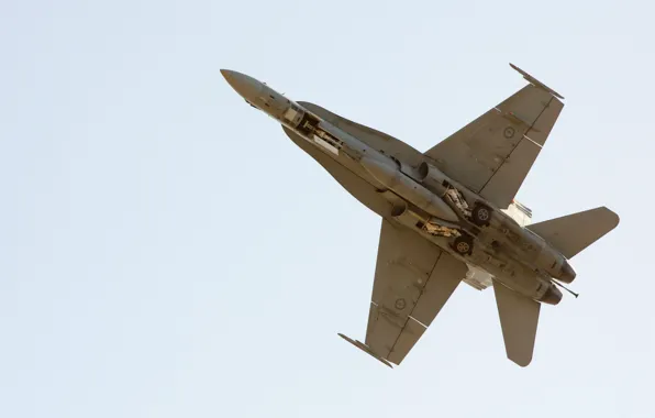 Небо, Самолет, Шасси, F/A-18 Hornet, McDonnel Douglas