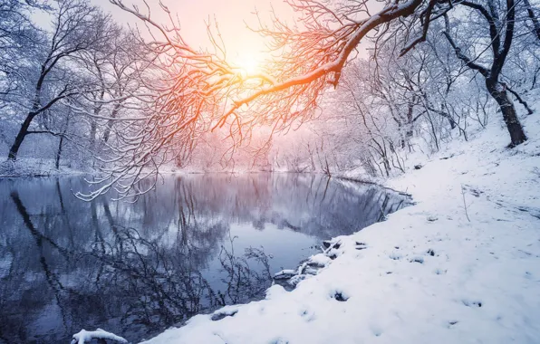 Картинка зима, лес, пейзаж, природа, река