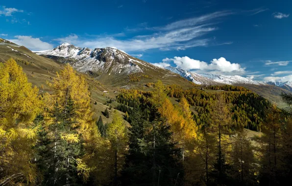 Осень, деревья, горы, Австрия, Альпы, Austria, Alps, Salzburg