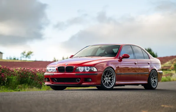 BMW, Red, Clouds, E39, Road, M5