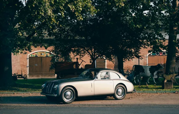 Картинка car, Maserati, trees, 1949, Maserati A6 1500 GT