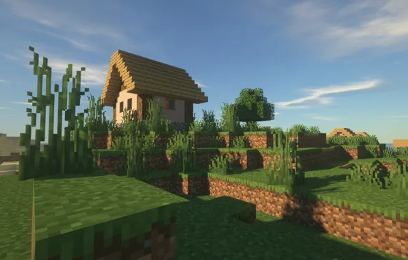 Day, minecraft, village