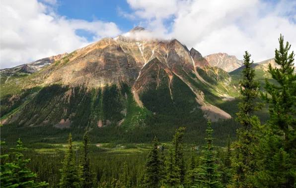 Картинка небо, деревья, горы, Канада, Альберта, Jasper National Park, Pyramid Mountain