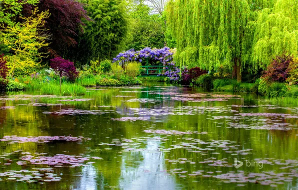 Картинка мост, Франция, весна, водоем, Нормандия, Живерни, сад Моне