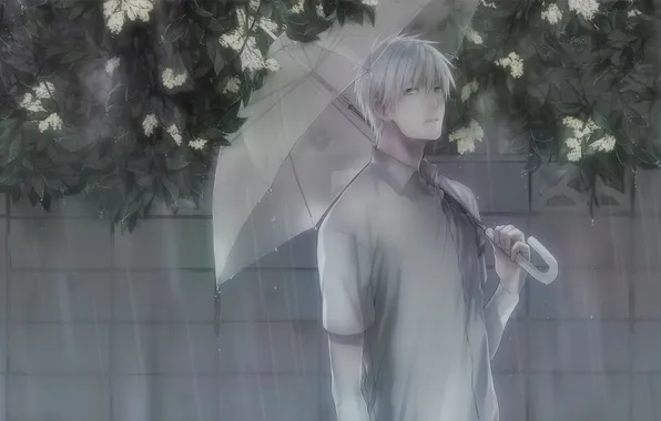 Цветы, дождь, зонт, парень, Kuroko No Basket, Kuroko Tetsuya, Баскетбол Куроко