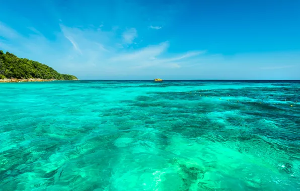 Картинка природа, лето, море, тропики, отдых