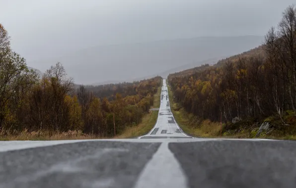 Картинка дорога, горы, туман, линии электропередачи, дождливая