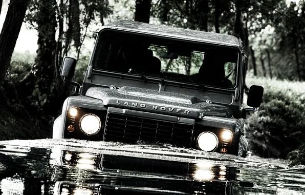 Лес, вода, фары, джип, внедорожник, land rover, передок, defender