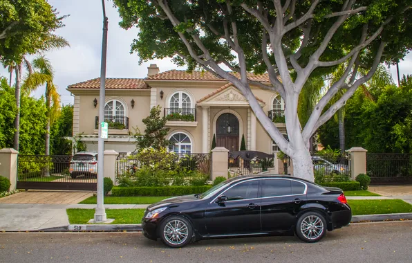 Картинка деревья, дом, улица, Калифорния, США, автомобили, Beverly Hills, Беверли-Хиллз