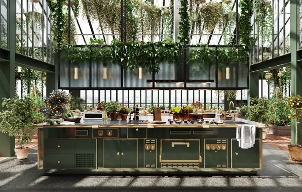 Растения, кухня, помещение, утварь, GREENHOUSE