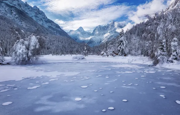 Картинка зима, лес, горы, озеро, Словения, Slovenia, Kranjska Gora, Lake Jasna