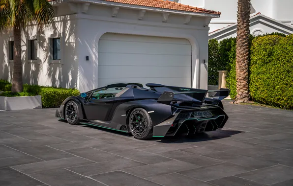 Roadster, Lamborghini, суперкар, supercar, 2014, Veneno, единственный экземпляр, the only instance