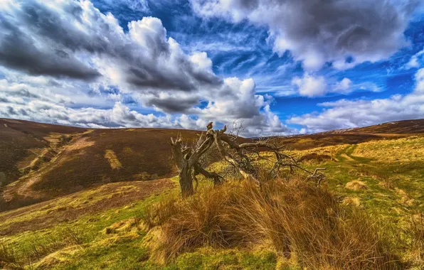 Картинка небо, облака, пейзаж, Шотландия