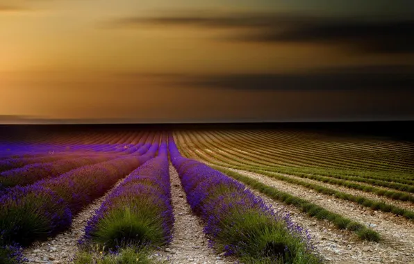 Картинка поле, небо, закат, цветы, природа, Франция, лаванда, Прованс