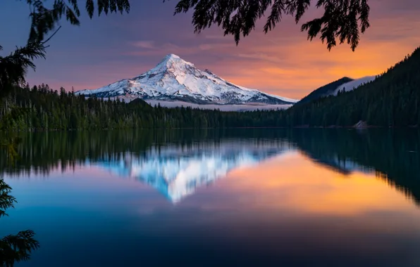 Картинка лес, закат, озеро, отражение, гора, Орегон, Oregon, Mount Hood