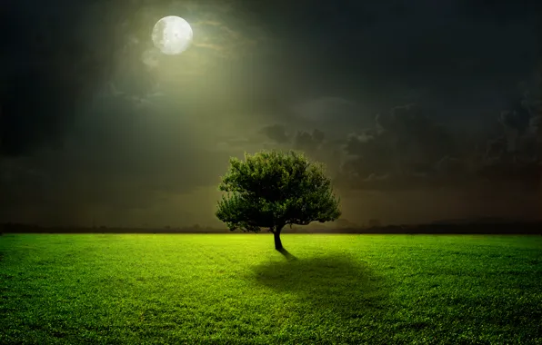 Картинка green, moon, grass, sky, field, night, clouds, tree