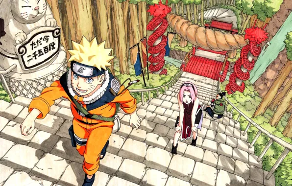 Сакура, Ниндзя, Наруто, Naruto, Хокаге