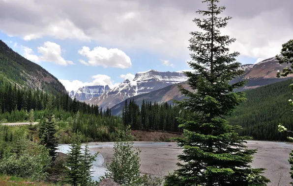 Картинка небо, деревья, горы, озеро, ель