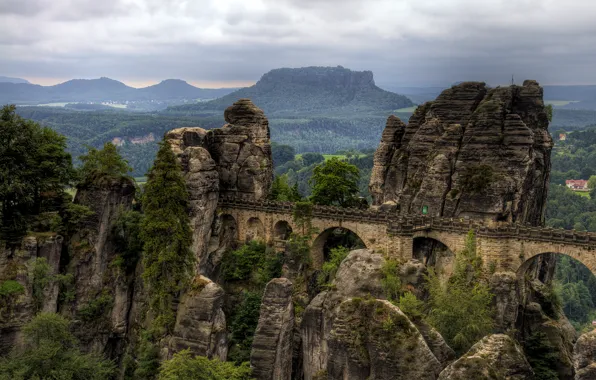 Картинка лес, горы, мост, скалы, Германия, национальный парк