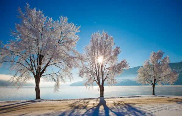 Картинка зима, дорога, деревья, озеро, Норвегия, Norway, Нутодден, Heddalsvatnet Lake